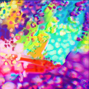 Meet your Posher, Annelyse